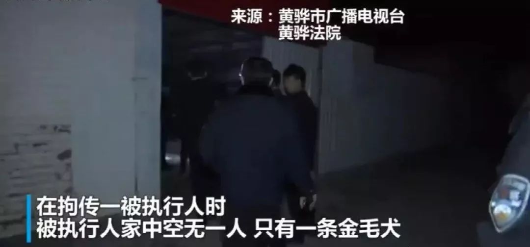 醉酒后男子与流浪狗对骂半小时，狗砸回应：我是为他好