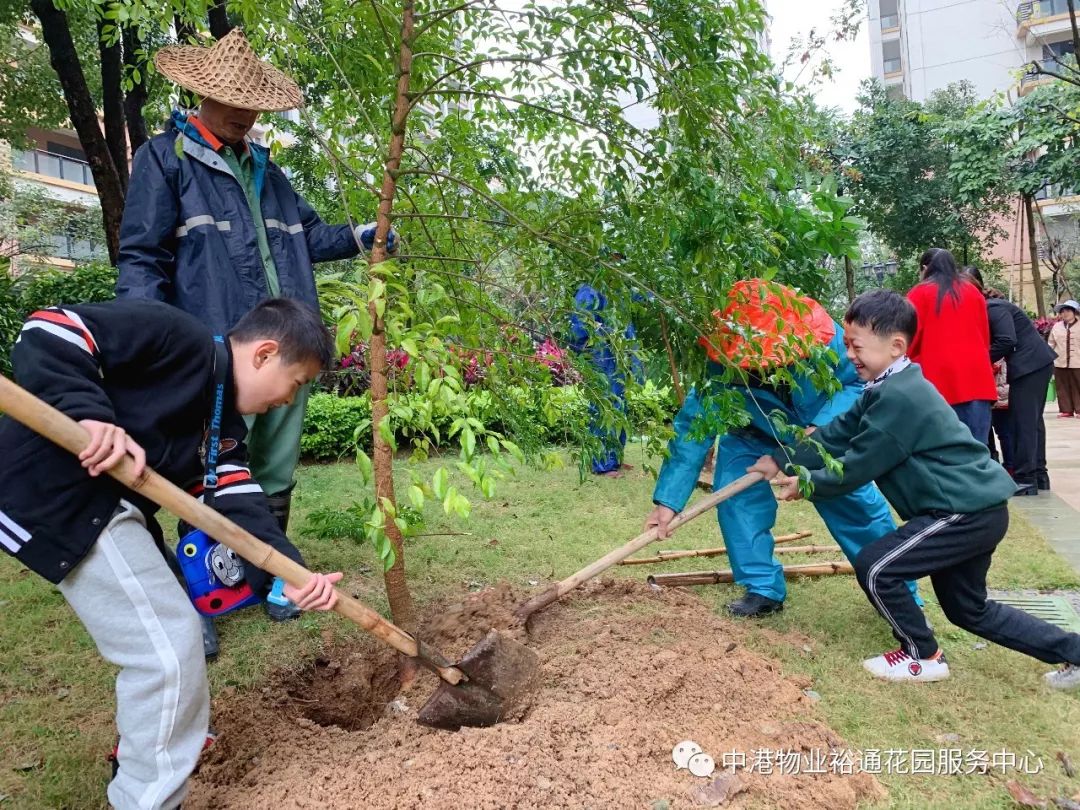 【活动回顾】中港物业植树节活动圆满结束