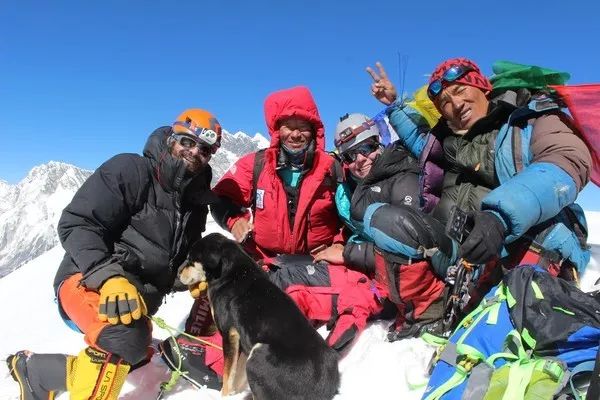 原本流浪的它，跟隨登山隊後，竟成為了登上喜馬拉雅山的第一犬！ 寵物 第1張