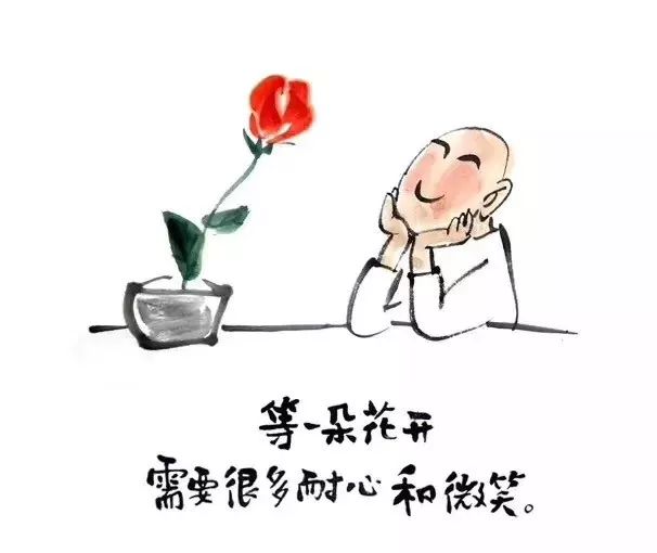 侯娜:等一朵花开,需要很多耐心和微笑