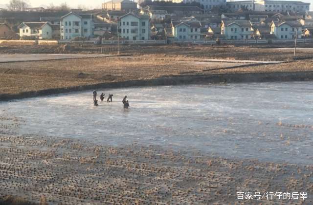 去朝鲜旅游一次,才知道朝鲜人一个月工资能买