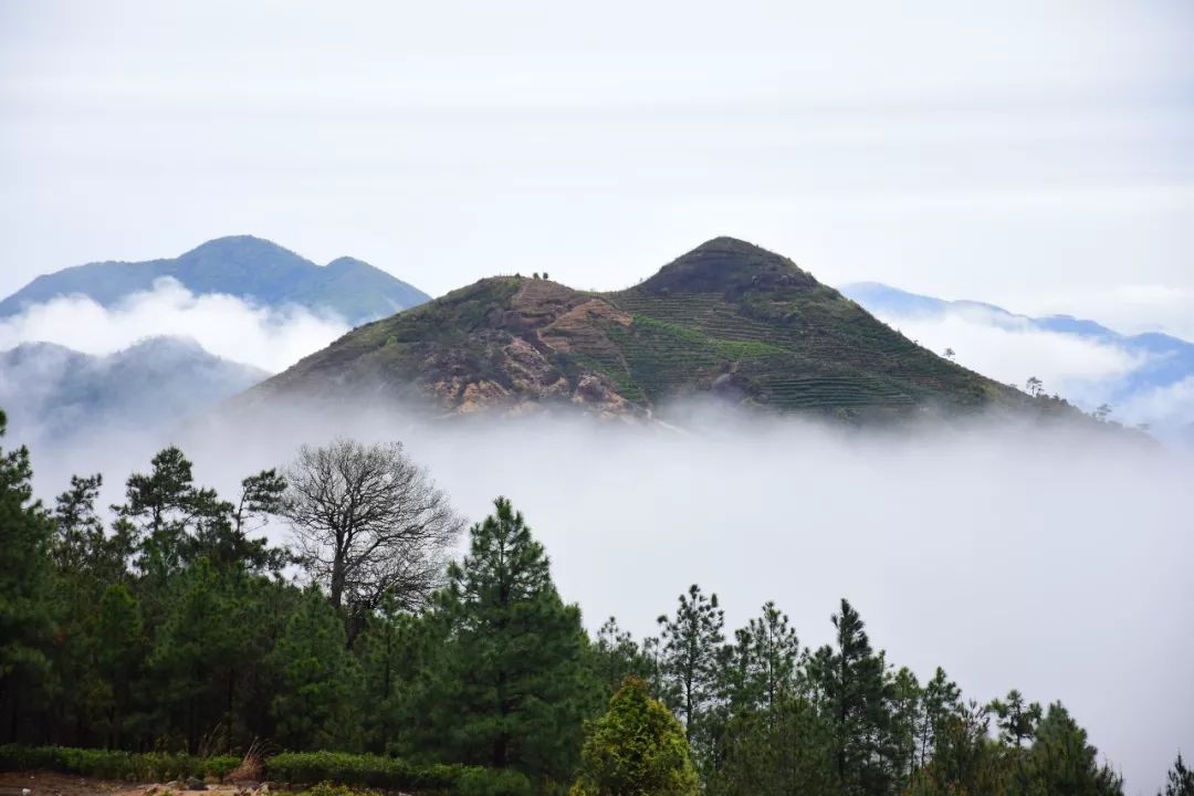 雨停后,在凤凰山看到……_潮州