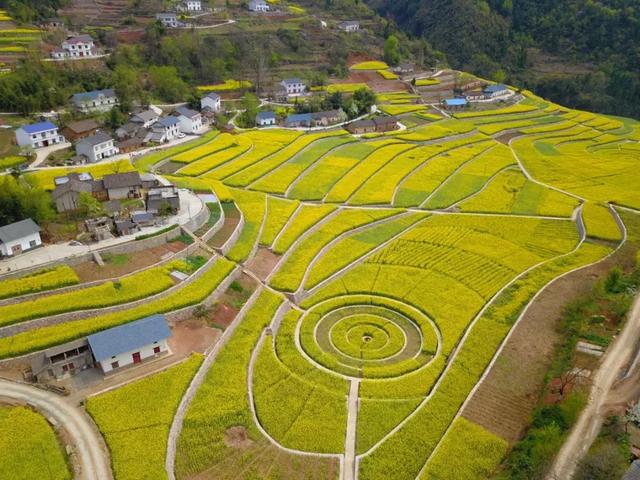 三月花开时节,在宜昌兴山遇见最美的自己!