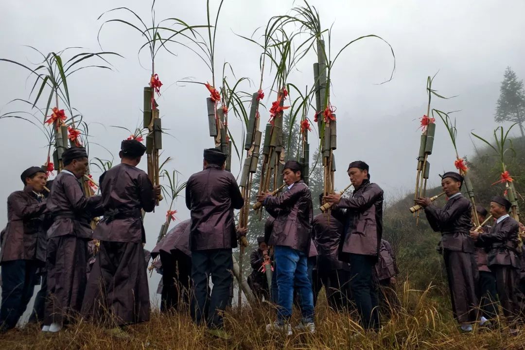 从江停洞:苗族同胞载歌载舞欢庆燕子节