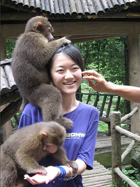 景区最"任性"的猴子!美女被搜身男人被偷袭!网友:可爱