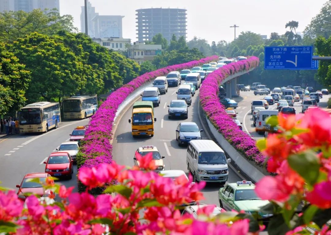 探秘魅力花城,跟着镜头走进广州市林业和园林科学研究院科普基地!