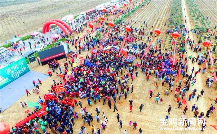 为宝鸡添绿!两万市民齐上阵 蟠龙塬植树万余株