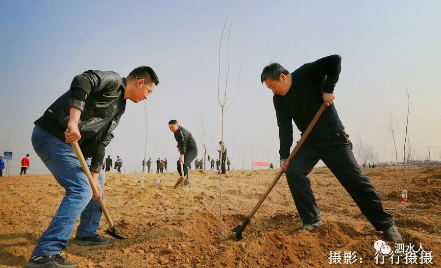 3.10.泗水县植树节活动现场情景抓拍:那些快乐的劳动瞬间.