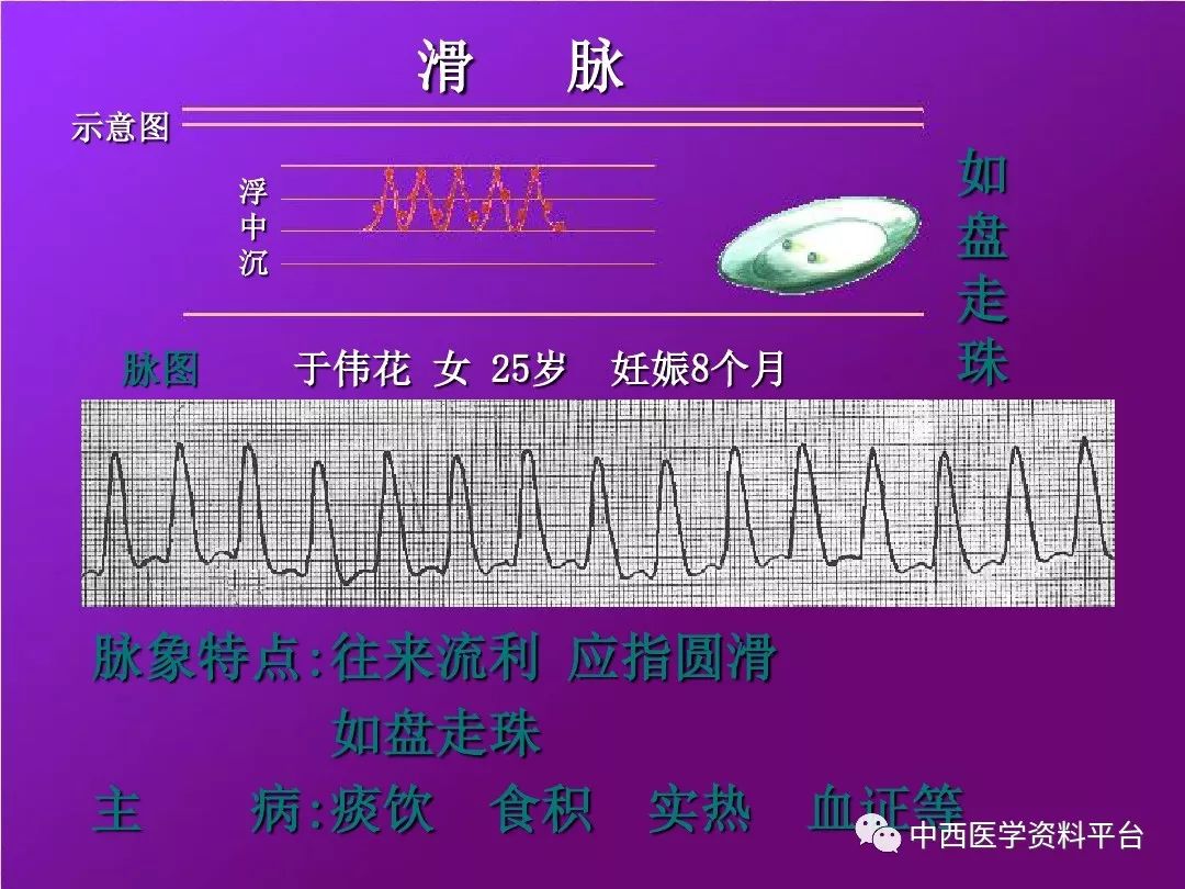 最全的入门脉诊知识让你快速掌握脉诊附详细图解