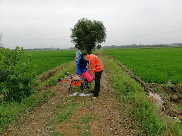 水稻什么时候打药 抓住四个生育期和三个关键用药时间防治!