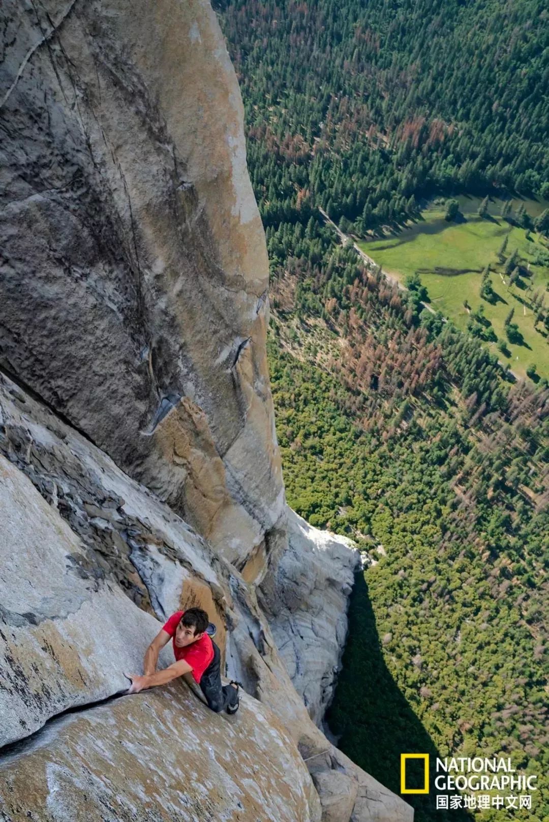 《徒手攀岩》勇夺奥斯卡最佳纪录片:生活亦如此,不要控制恐惧,要消除
