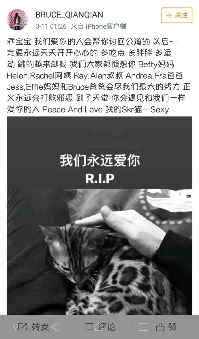 英国留学生虐猫致死，当事人：回中国就安全了！