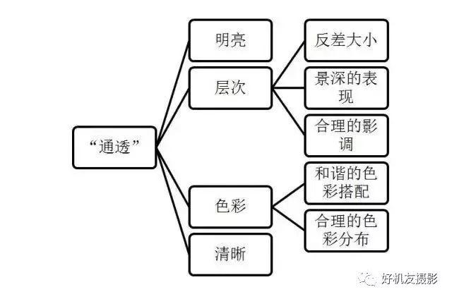 画面明亮与否是能够直接影响照片是否可以带来通透感的要素,例如下面