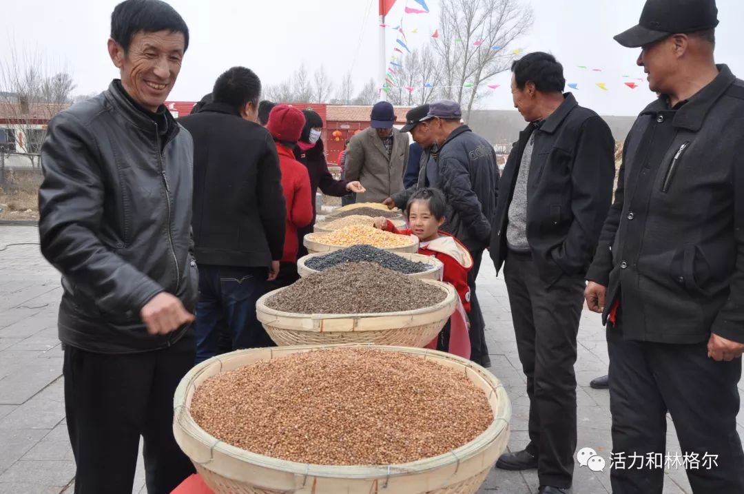 第二届农耕文化节在和林县黑老夭乡小王坟村举办