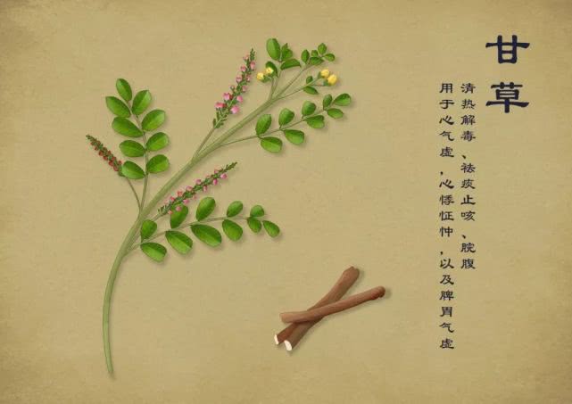 春暖花开送上手绘中草药图谱