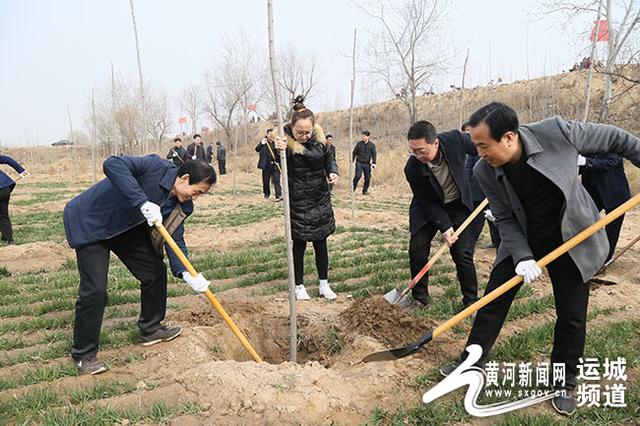 各单位积极组织开展春季义务植树活动 助力生
