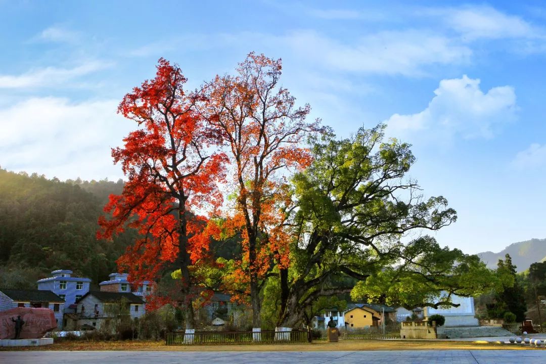 三湾改编圣地/段卫明