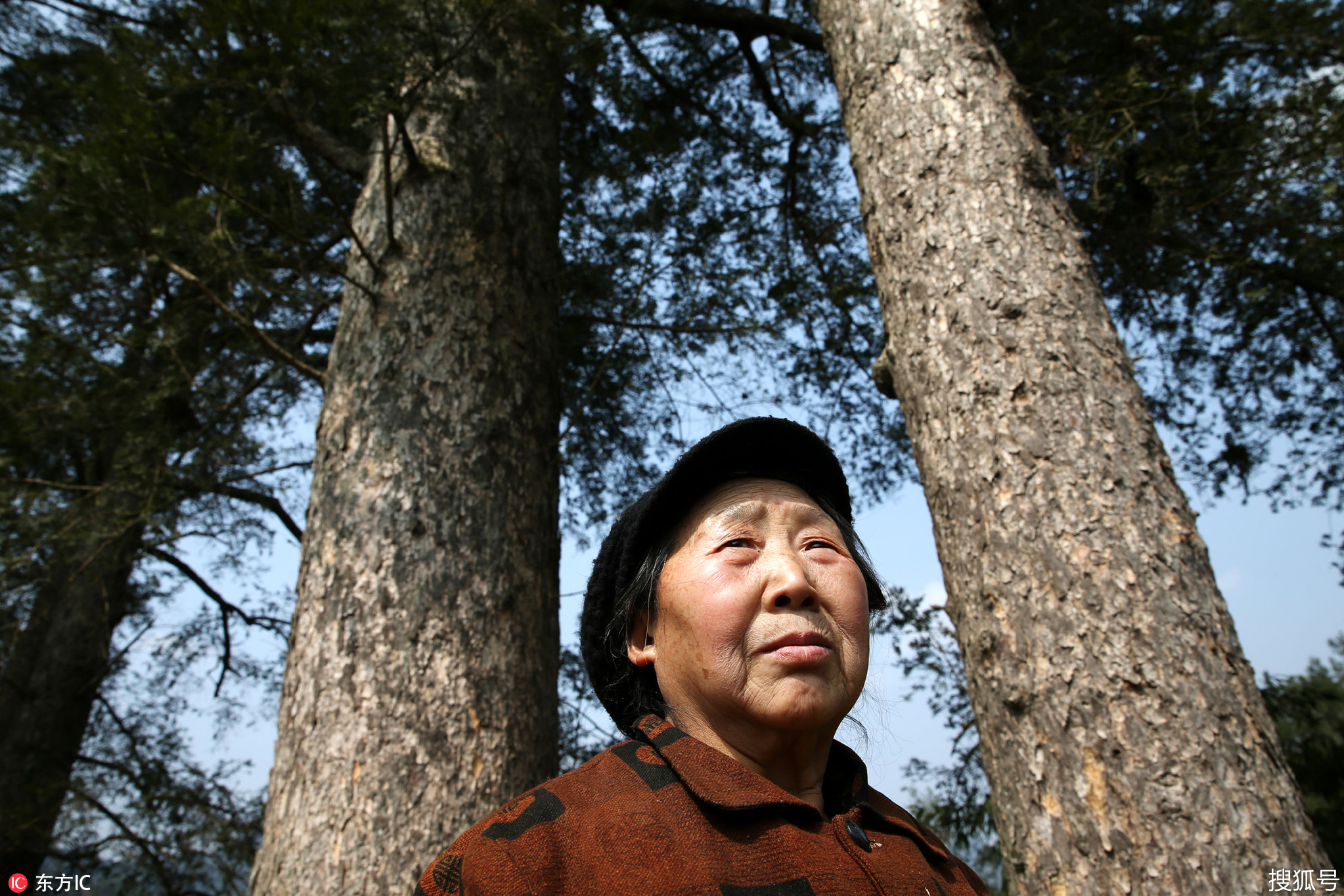 75岁老太独居深山,只为守护200岁宝贝,饿死不卖