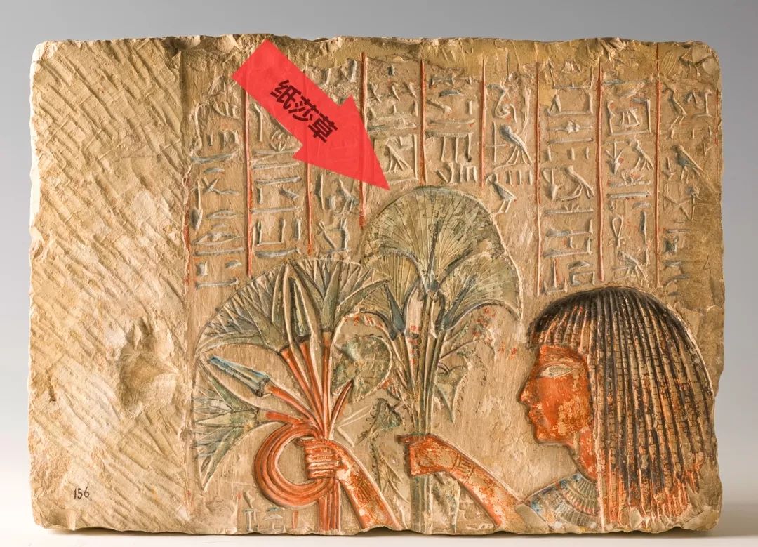 历史知识古埃及最神奇的植物纸莎草