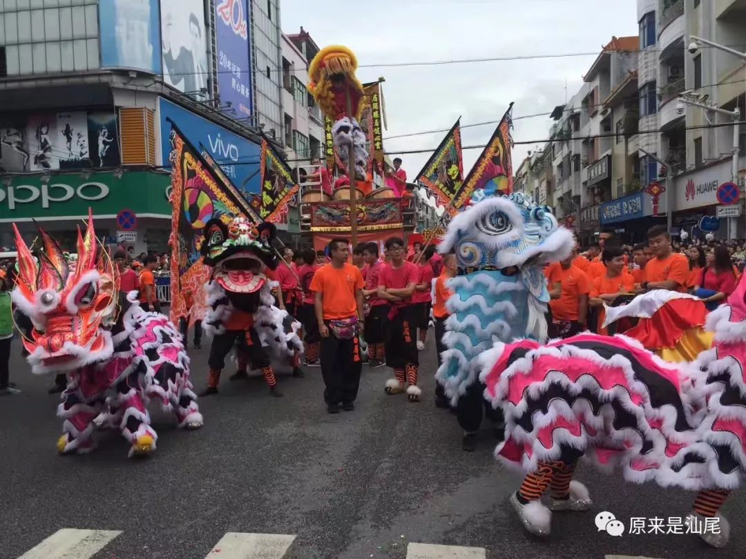 虎狮在汕尾