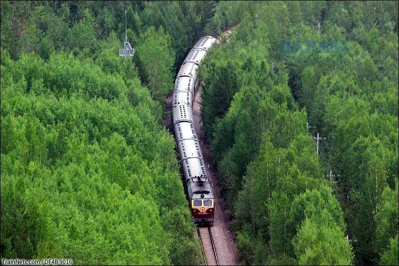 富西铁路漠河-育英区间的大兴安岭密林中,6245次(齐齐哈尔-古莲)旅客