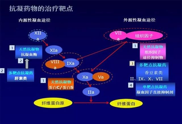 知否知否抗凝与抗板到底一样否