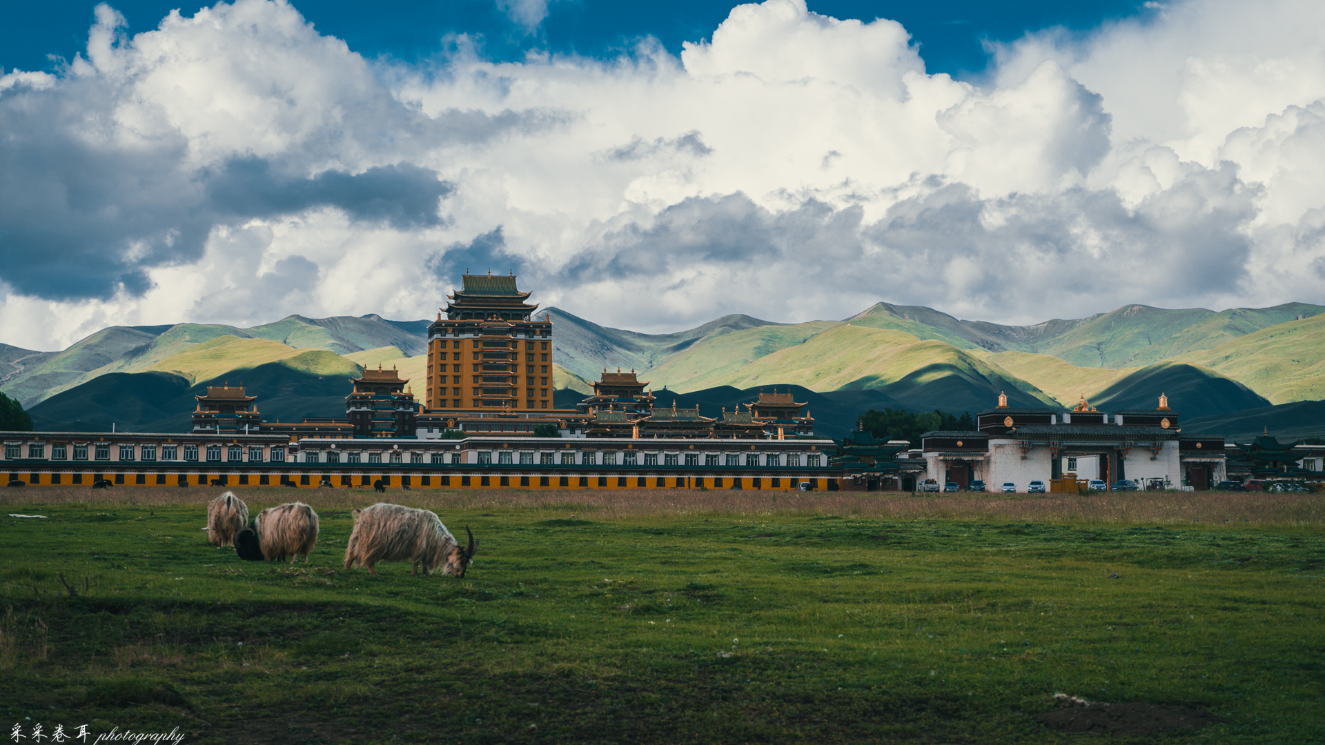 阿坝县的人文片段格尔登寺与各莫寺以及周边采风