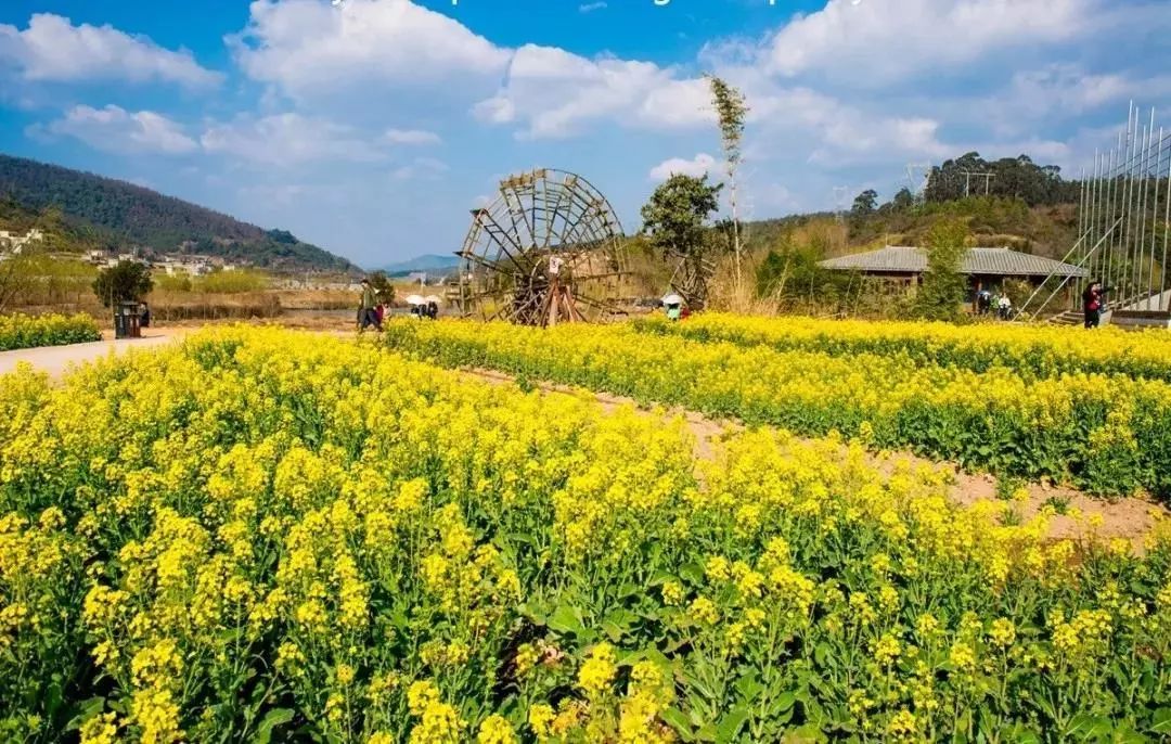 俨然一副怡然自得的山村画卷