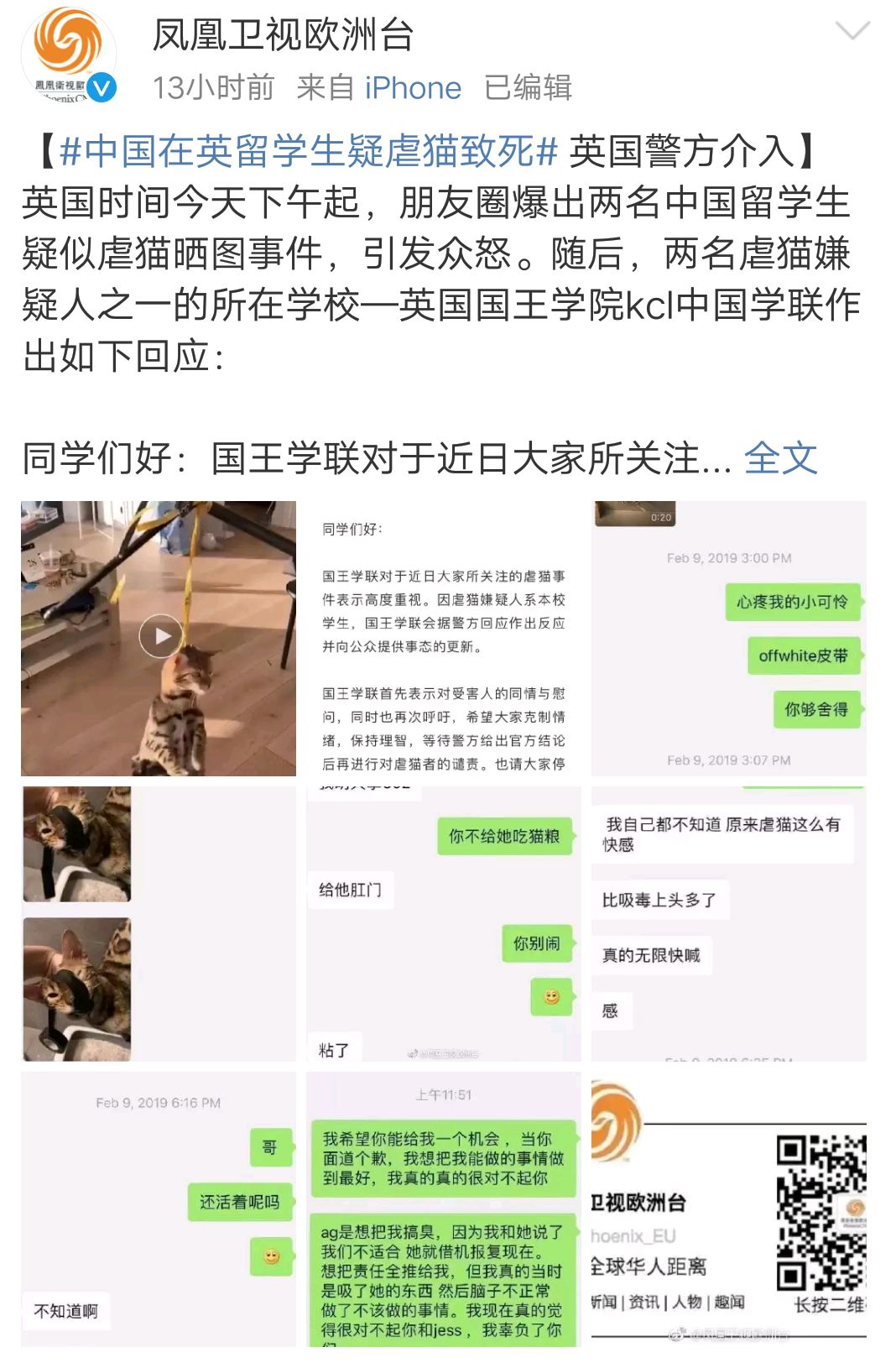 英国留学生虐猫致死，当事人：回中国就安全了！