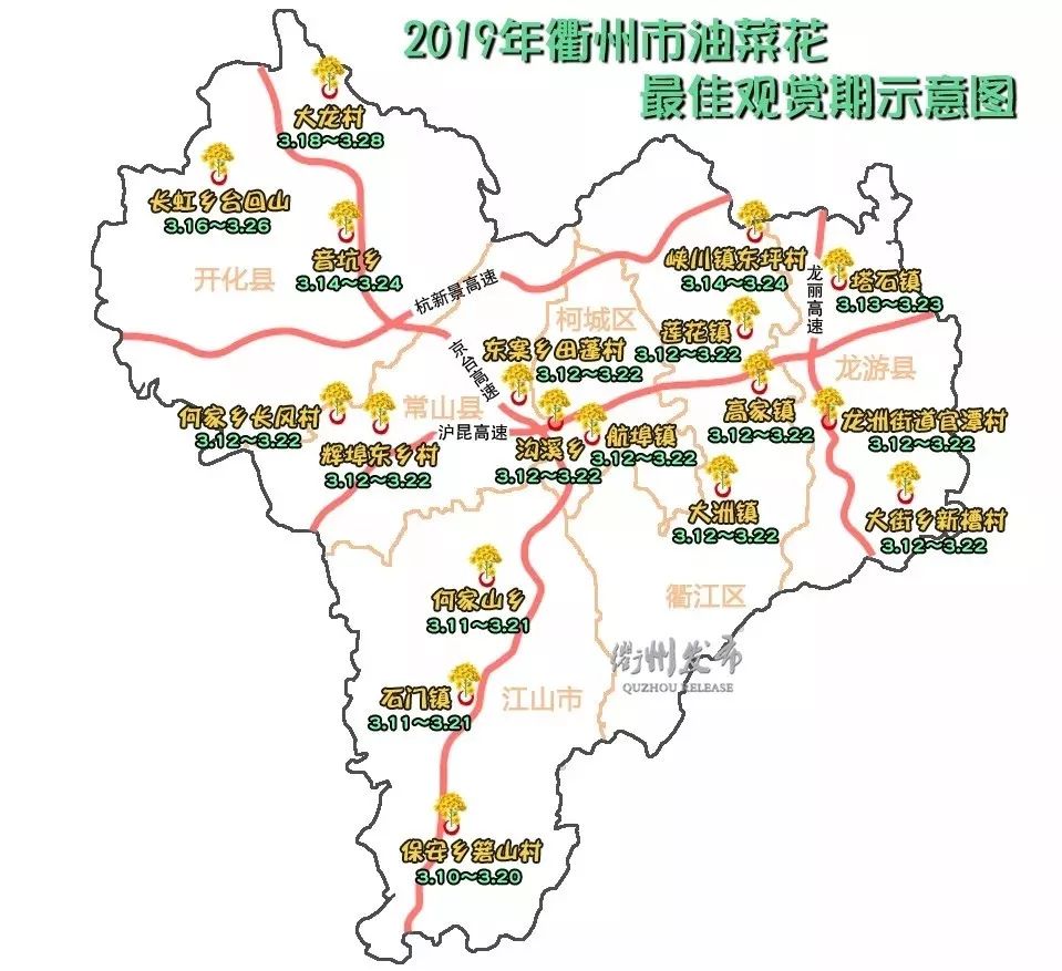 官宣衢州入春啦2019年油菜花最佳观赏期预报地图送给你