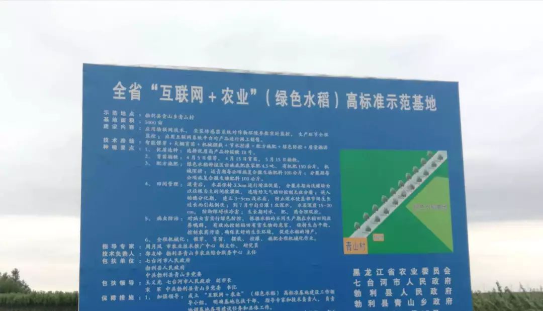 七台河市经济总量_七台河市地图(2)