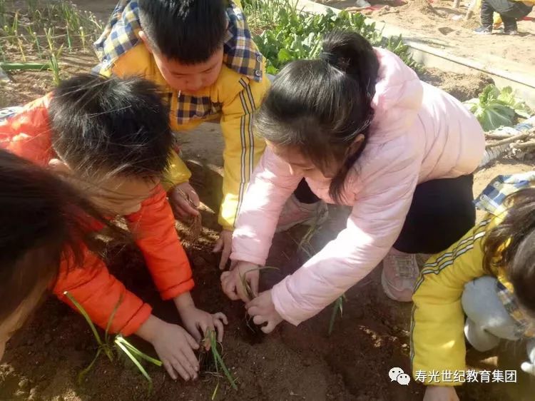 挖个坑,埋点土,数个12345～ 种子种子什么时候能长大呀