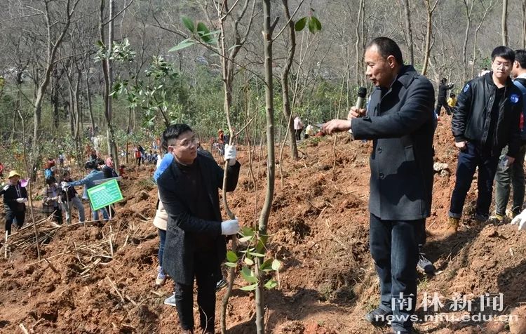 爱林造林我校师生开展植树护绿活动打造绿水青山