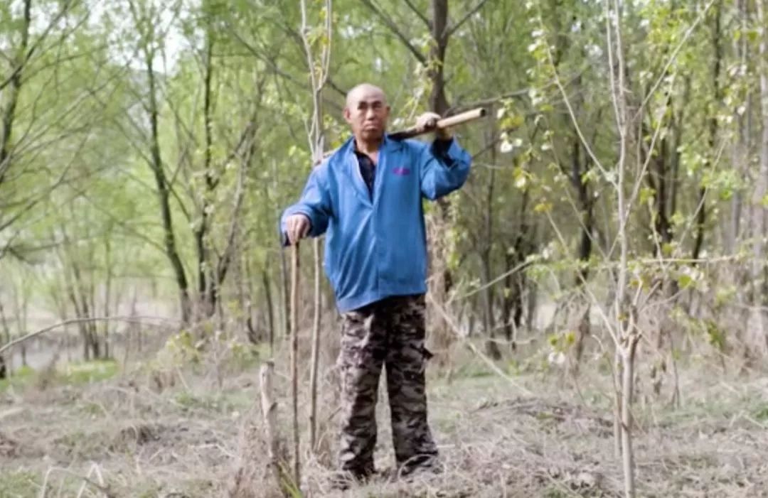 轰动世界的两位中国老人,刷新了我对植树的认知_贾文其