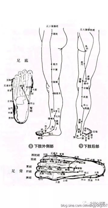 人体下肢内侧部 下肢前部下体穴位图人体头部穴位图人体穴位图人体