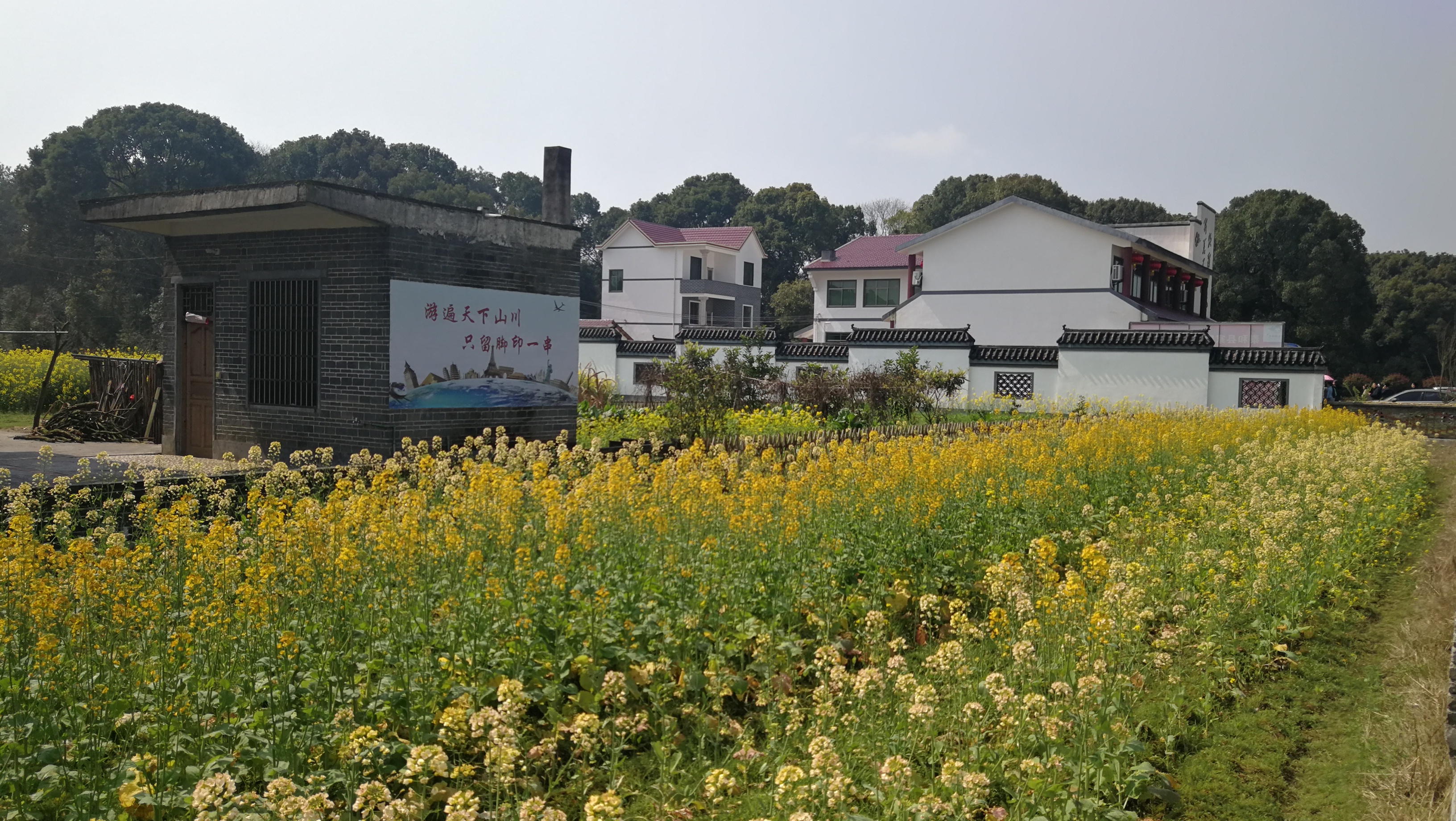 美丽乡村:泰和县苏溪牧歌滩尾生态村