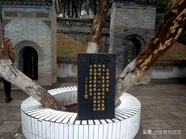 少陵原下勋荫坡将军英名传千古杨虎城将军陵园