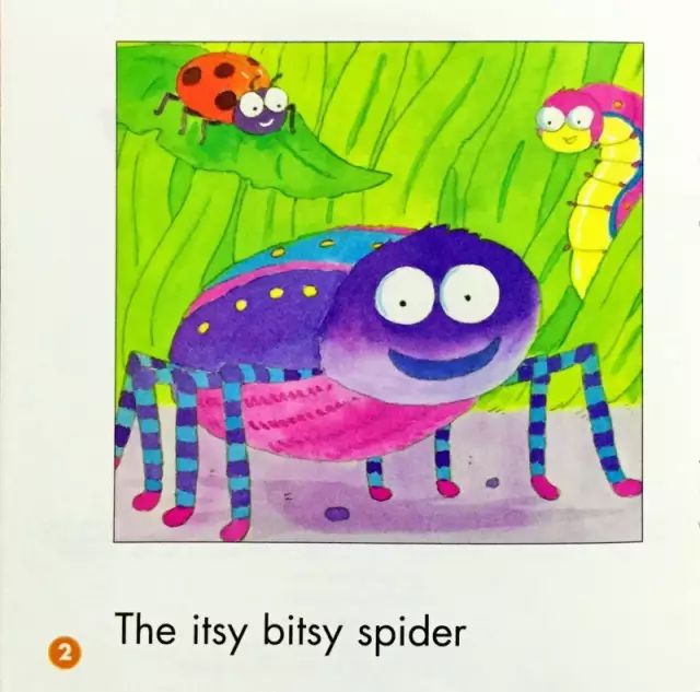 睡前英语故事 | the itsy bitsy spider 小小蜘蛛爬水管