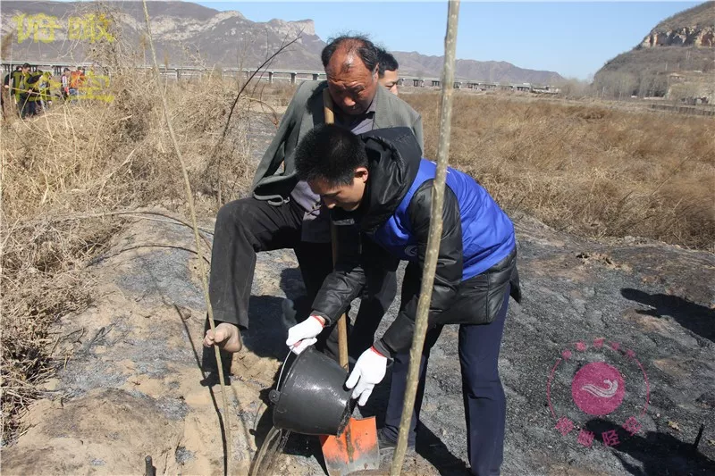 断臂老人种树感动世界:如今走出困境,成为多留一片绿色追梦人_贾文其