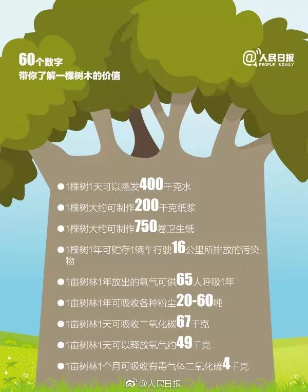 植树节40周年,60个数字,带你了解一棵树木的价值!