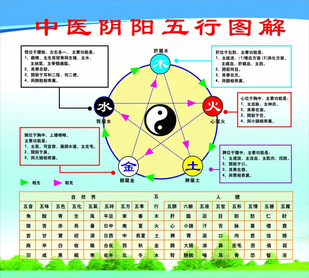 阴阳五行与健身气功