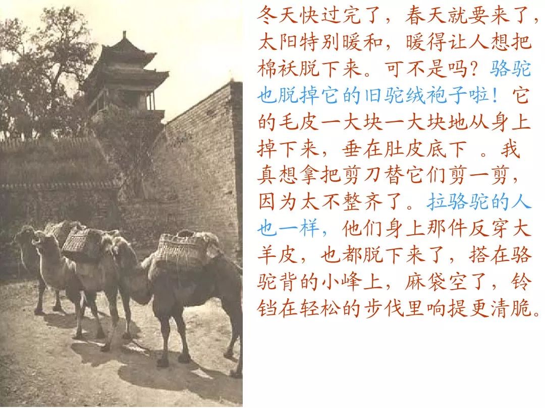 本文是小说《城南旧事》的序言,作者林海音.