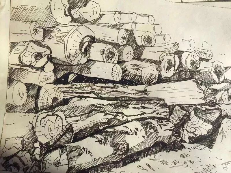 这些素描作品记录了大兴安岭木材生产历史.