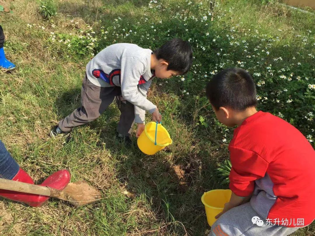 回归初心与绿色同行东升幼儿园植树节活动