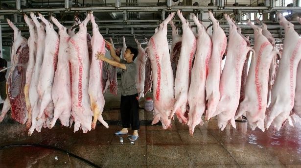 加拿大开始反击?CFIA宣布禁止进口中国猪肉!