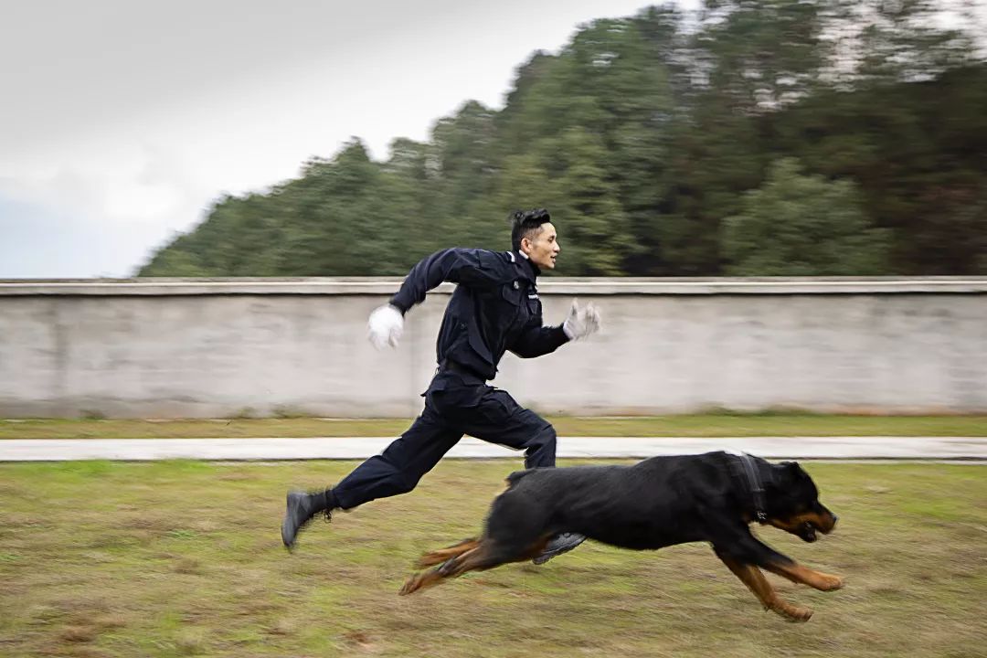 恩施民警和警犬共上街头,这才是人和狗狗感情的最好证明!