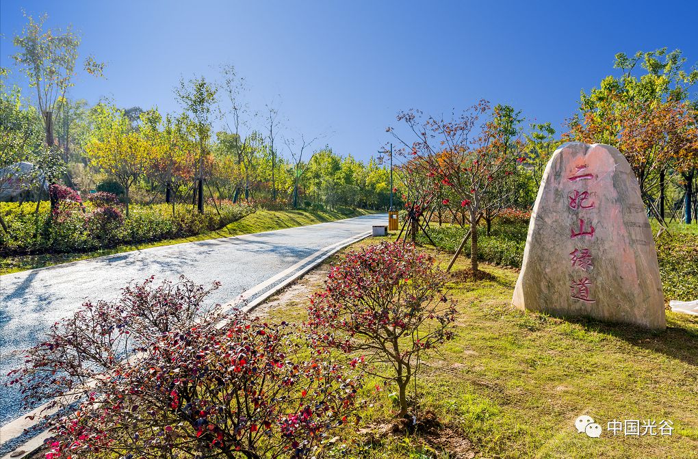 计划新建星河公园,黄龙山公园,光谷之星山水公园,九峰溪公园,花山河5