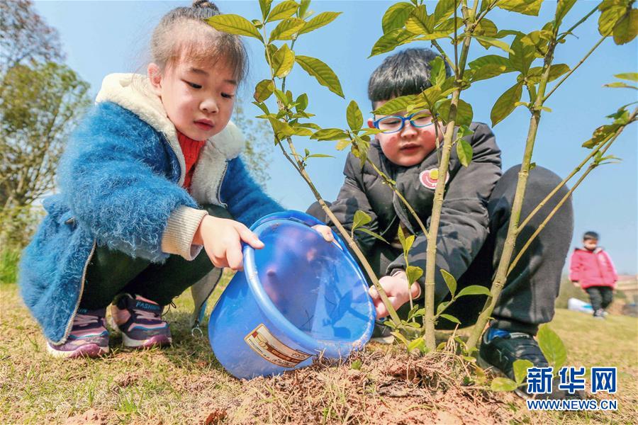 3月11日,江西省峡江县幼儿园的小朋友在公园里为刚栽种的树苗浇水.