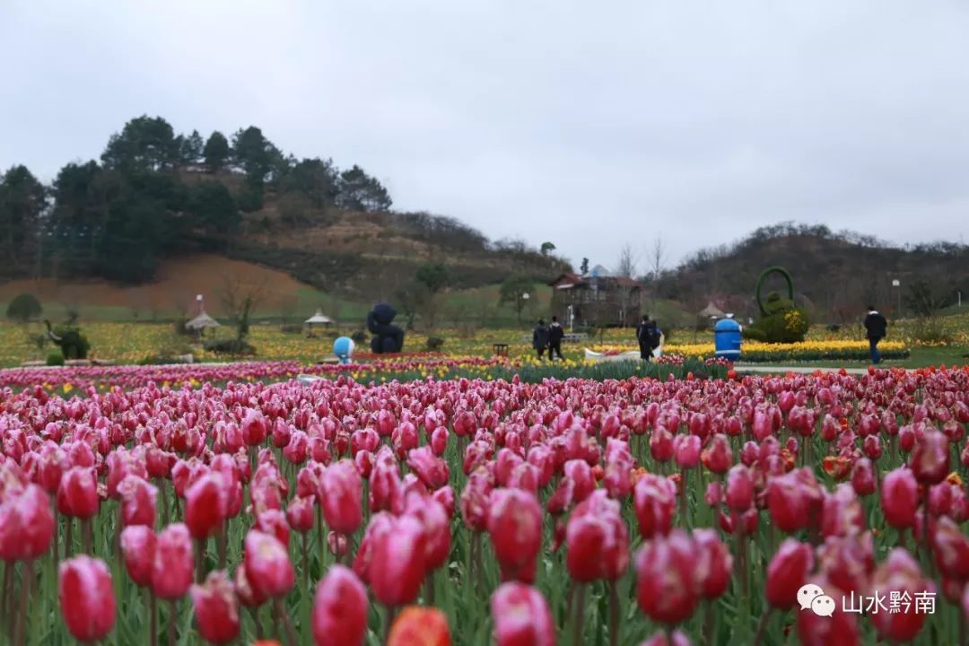 贵定金海雪山四季花谷景区