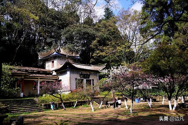 "听见花开的声音"昆明郊野公园春城桃花文化节!